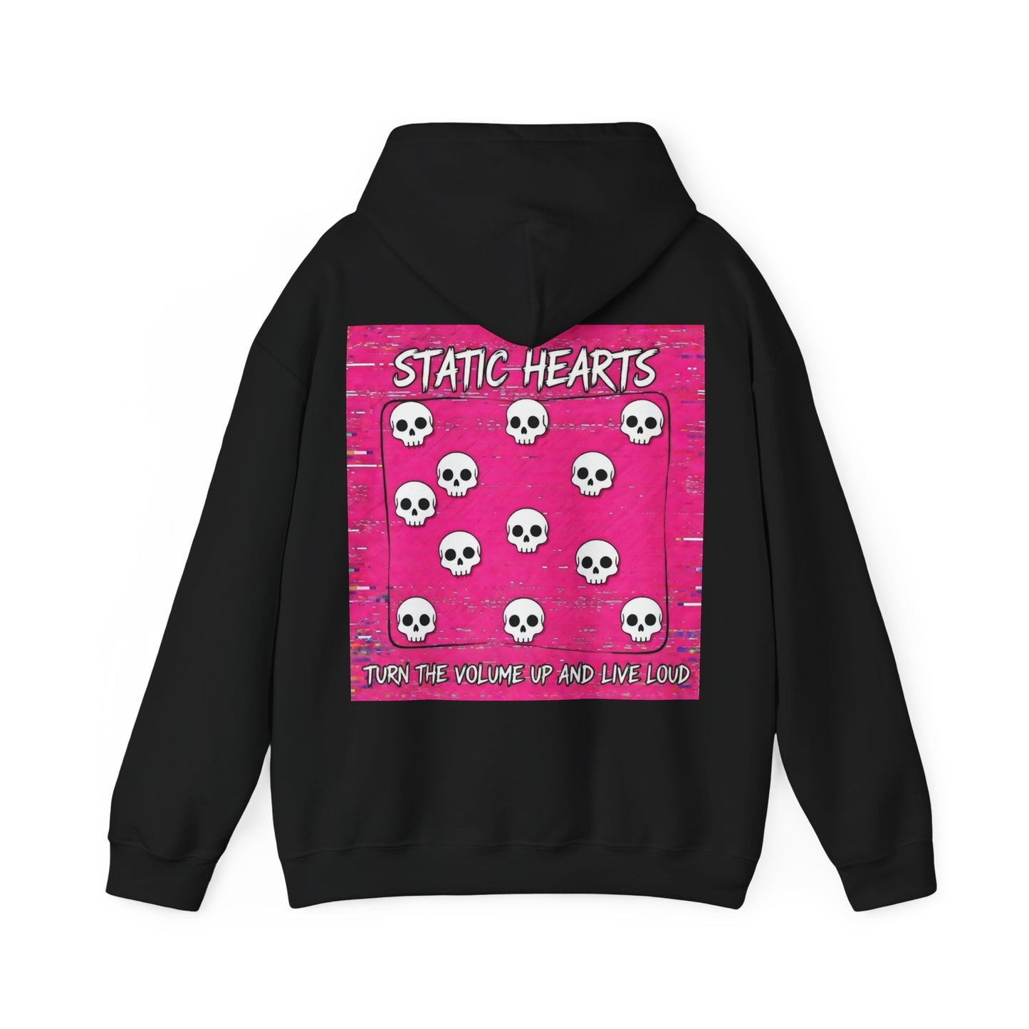 Turn the Volume Up and Live Loud Hoodie